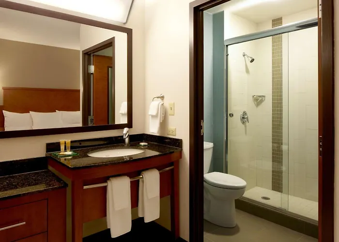 Hotel Hyatt Place Chicago - Lombard/oak Brook